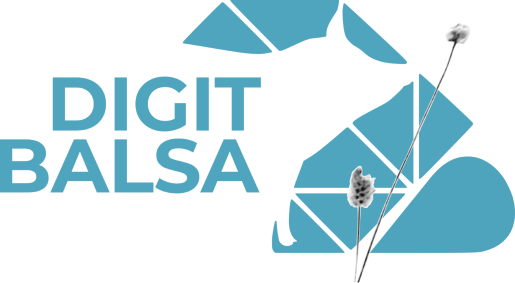 Logo digit balsa